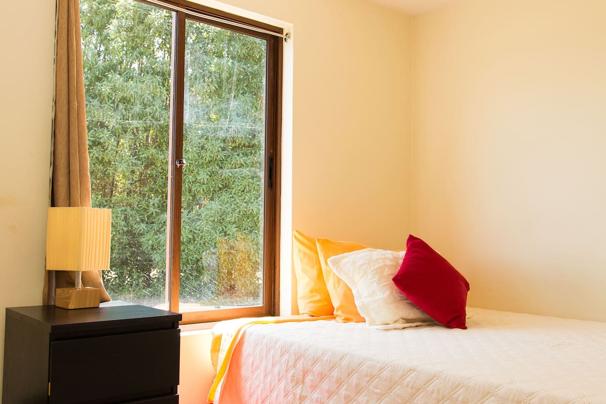 A bedroom with a bed, a dresser, a window, and a red rug.