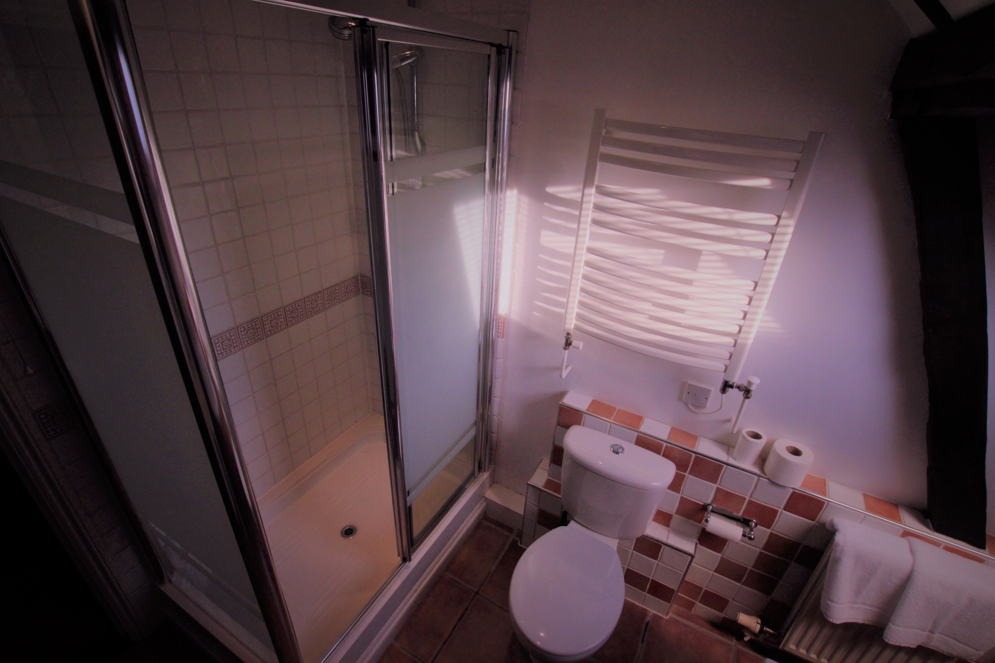 A bathroom with a glass shower enclosure, a toilet, and a sink.