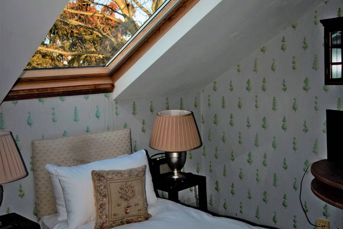 deluxe twin room, 2 single beds | view from room