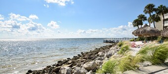 TAMPA BAY SPECTACULAR WATERFRONT VIEWS!!!