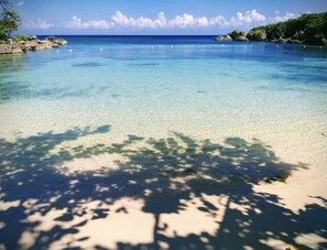 Ein klarer tropischer Strand mit flachem Wasser, sichtbaren Felsen und einem Baum, der einen Schatten auf den Sand wirft.