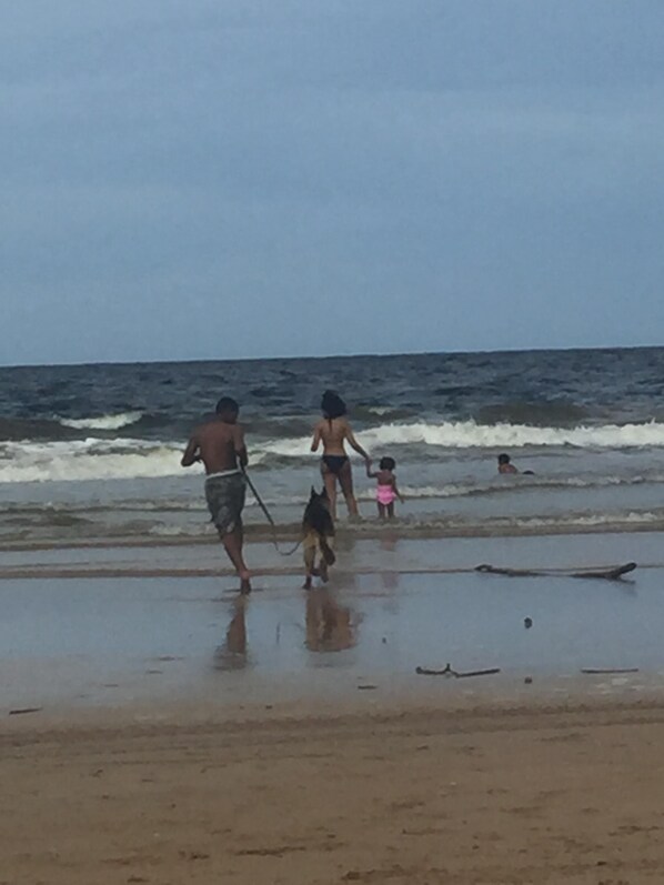 Strand