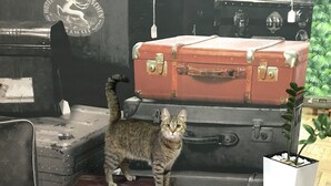 施設の入り口