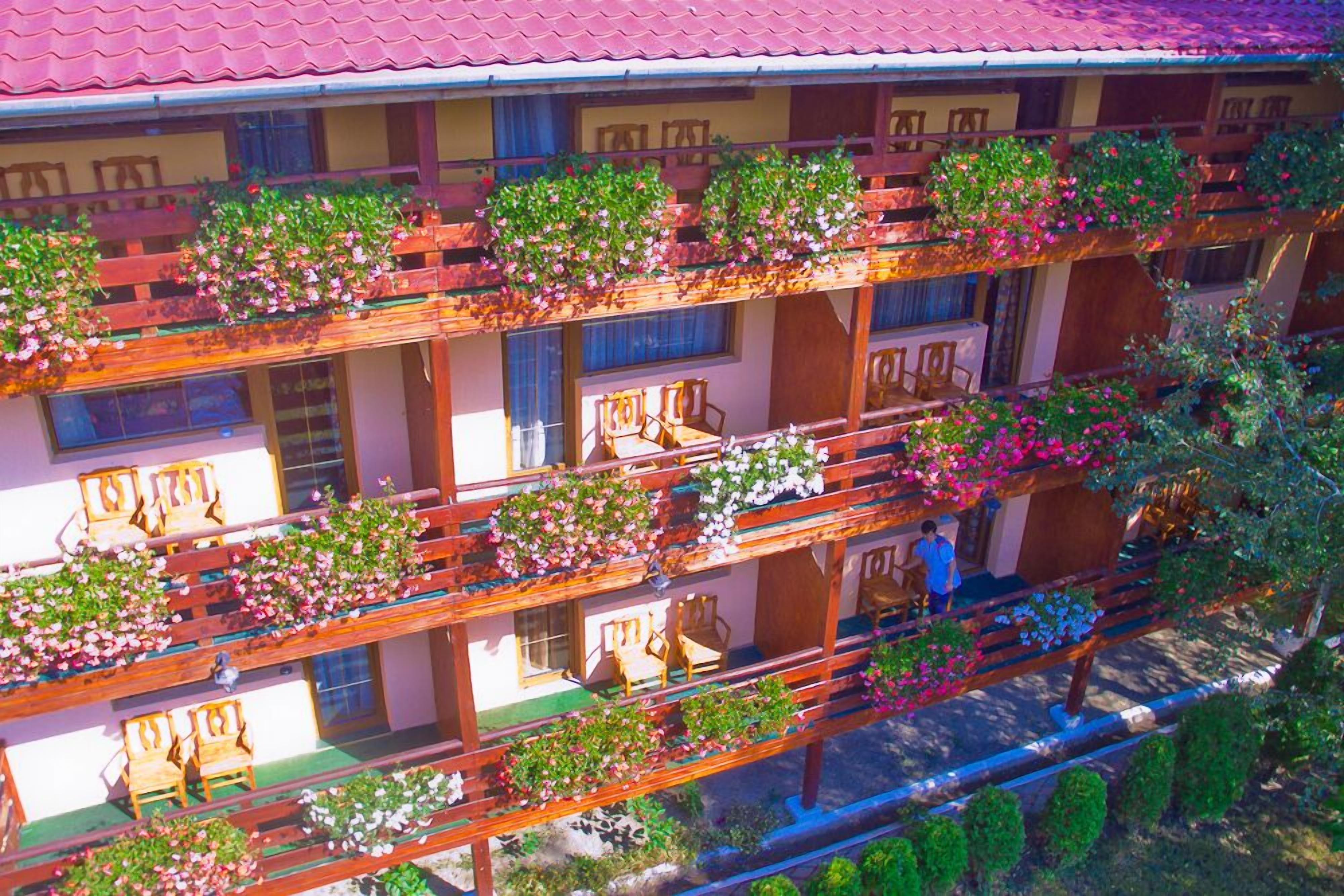 Vista desde la propiedad