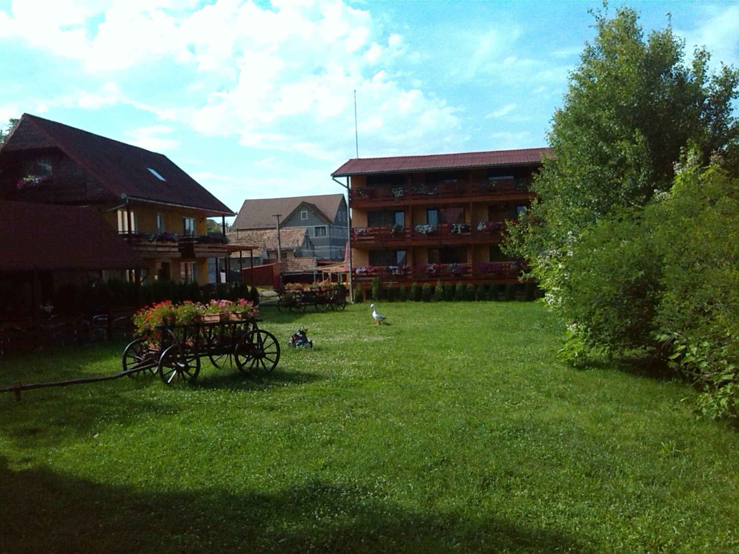 A courtyard with a grassy area, a horse-drawn carriage, and buildings with balconies.