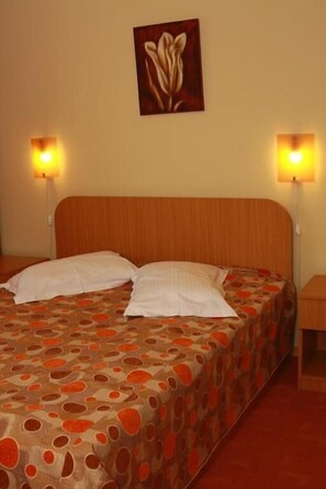 Economy Room, 1 Double Bed, Resort View | Minibar, desk, iron/ironing board, free WiFi - Casa Bazna (Bazna)
