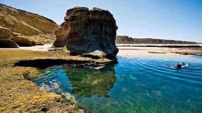 Jan Juc Beach Break - Walk to Beach, Pet Friendly