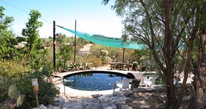 Beautiful home with pool, private, close to UA & Downtown, arts. Great prices!