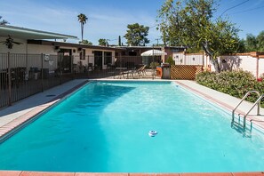 A rectangular swimming pool with a clear blue water, surrounded by a metal fence, and a small deck area with chairs and umbrellas. - Beautiful home with pool, private, close to UA & Downtown, arts. Great prices! (Tucson)
