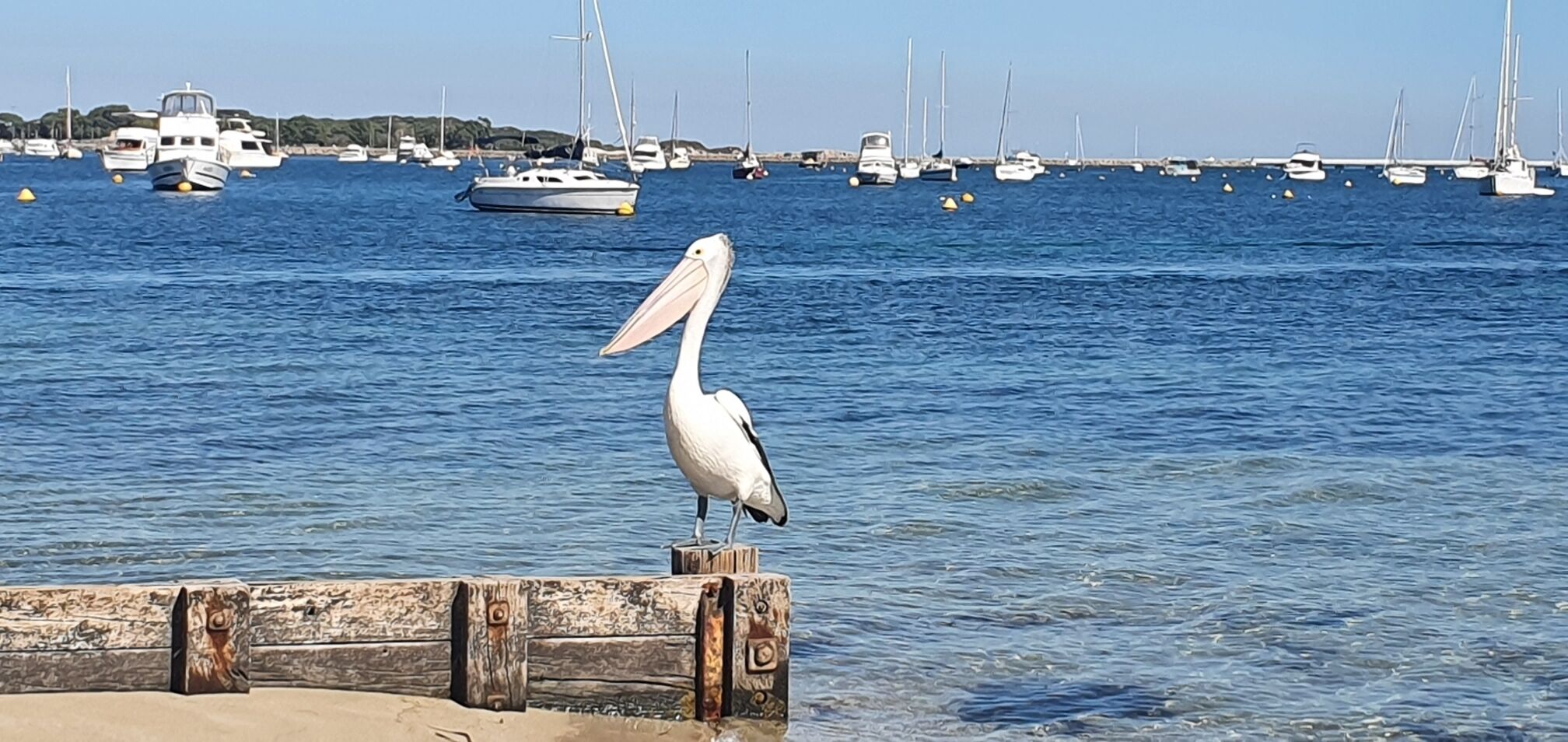Palm Beach Manor ... — image 18