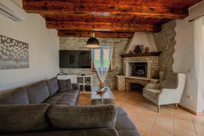 Televisión, chimenea y libros 