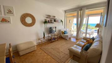 TV, DVD player, video library