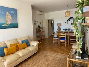 TV, DVD player, video library