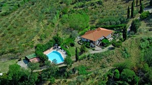 A villa with a swimming pool, surrounded by terraced fields and greenery. - Apt. The Nabucco, Casa Lama Residence, 6/8 Persons, ideal for large families (Castelfranco di Sopra)