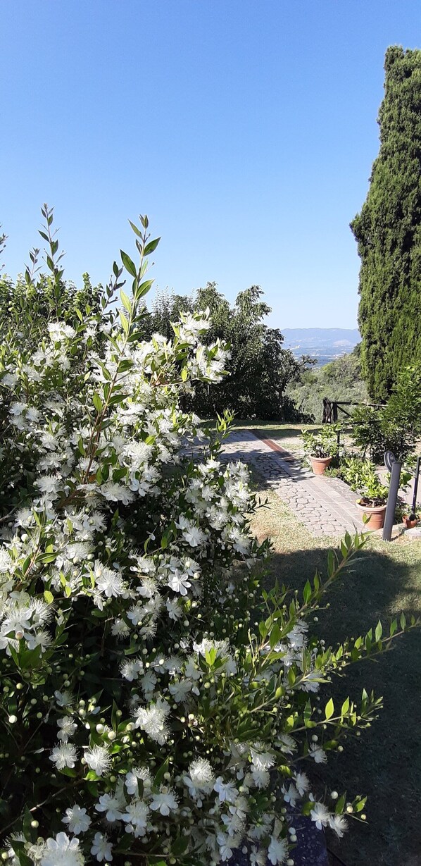 Terrain de l’hébergement 