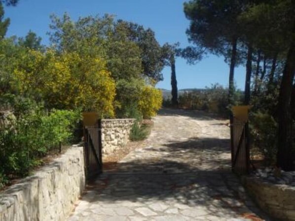 Un chemin de pierres serpente à travers un jardin, bordé d’arbres et d’un mur de pierres d’un côté.
