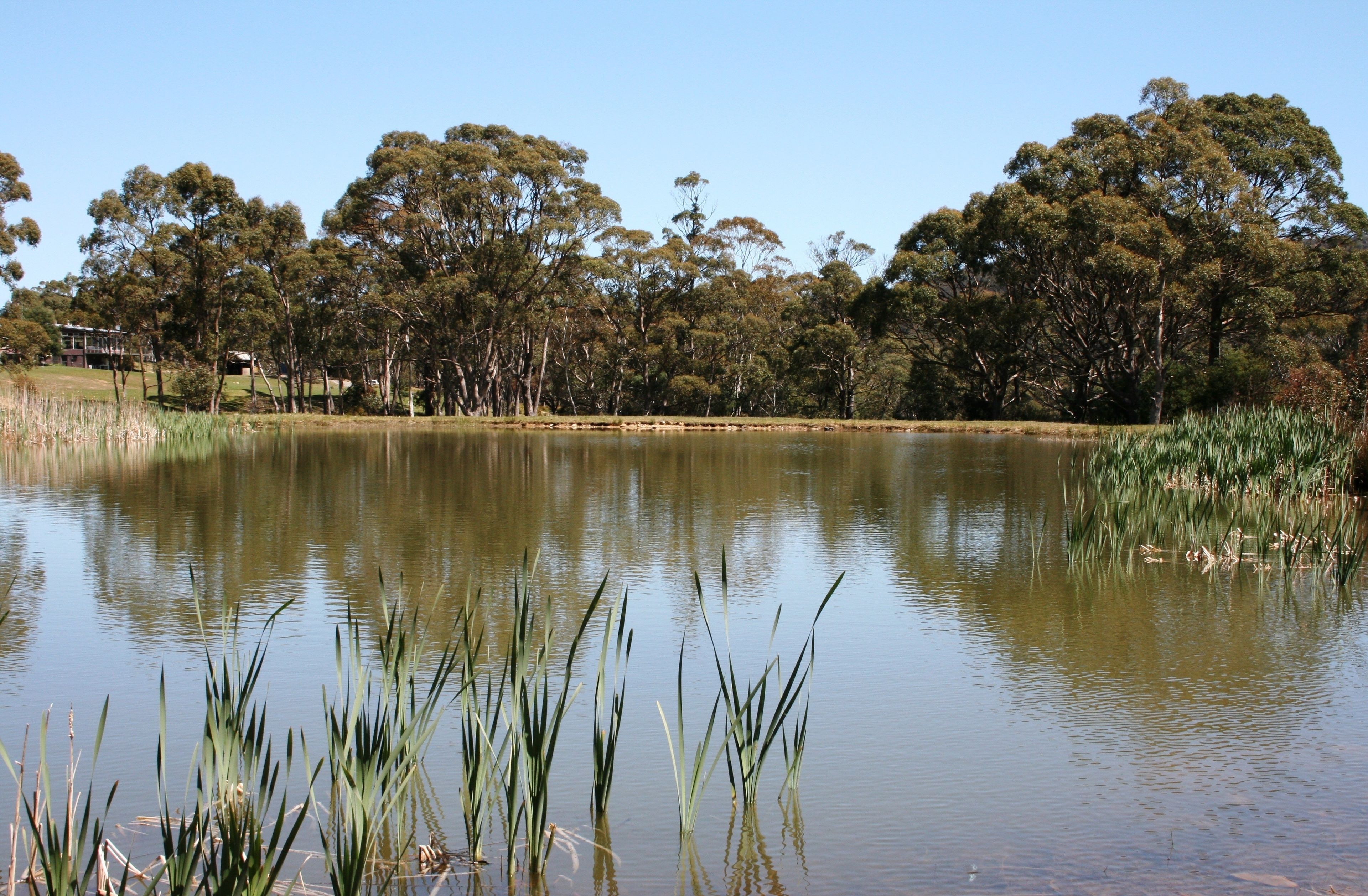 Craggy Peaks Wilderness Cabins — image 26