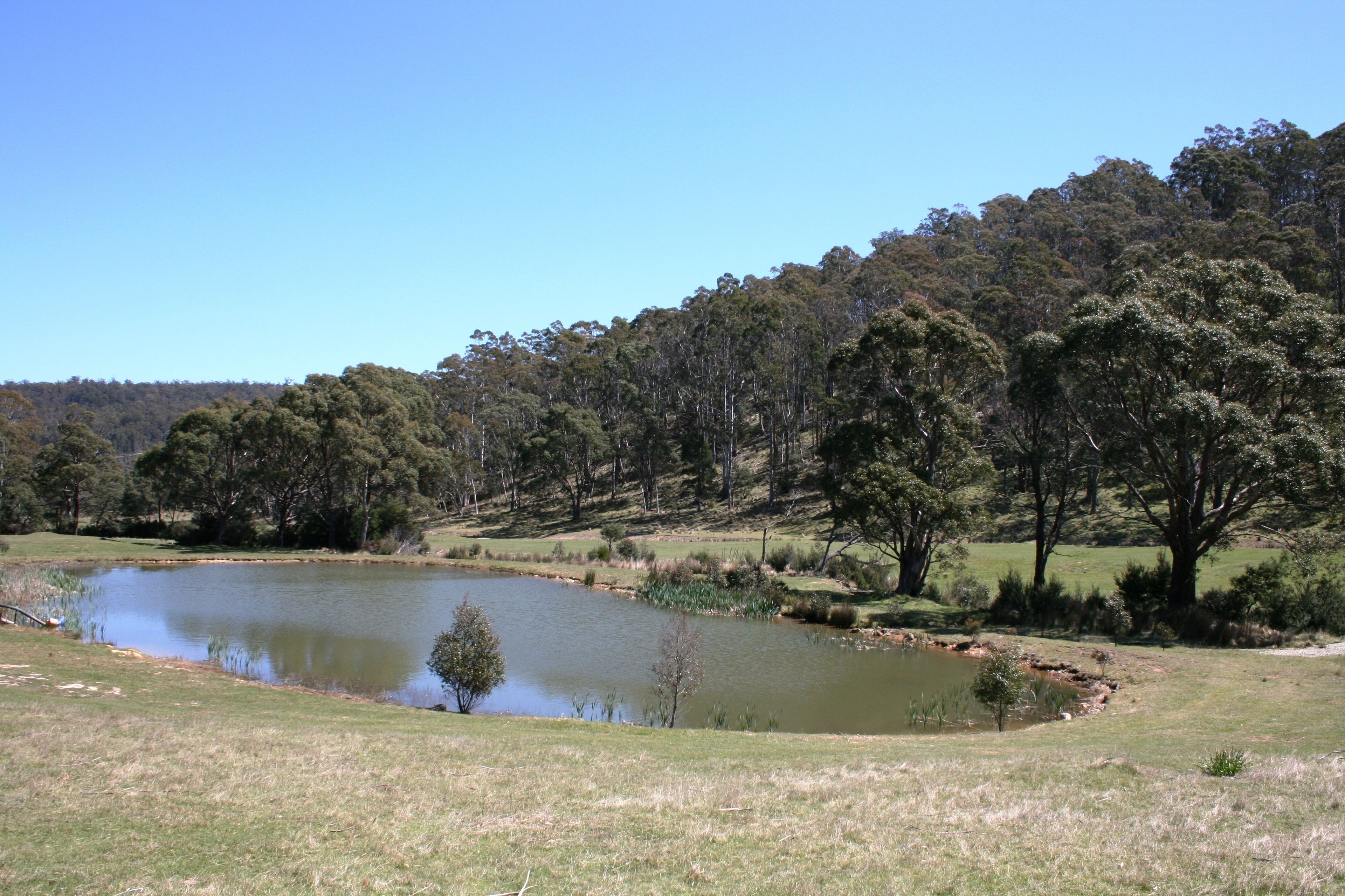 A serene landscape with a pond, grassy areas, and a forested hill.