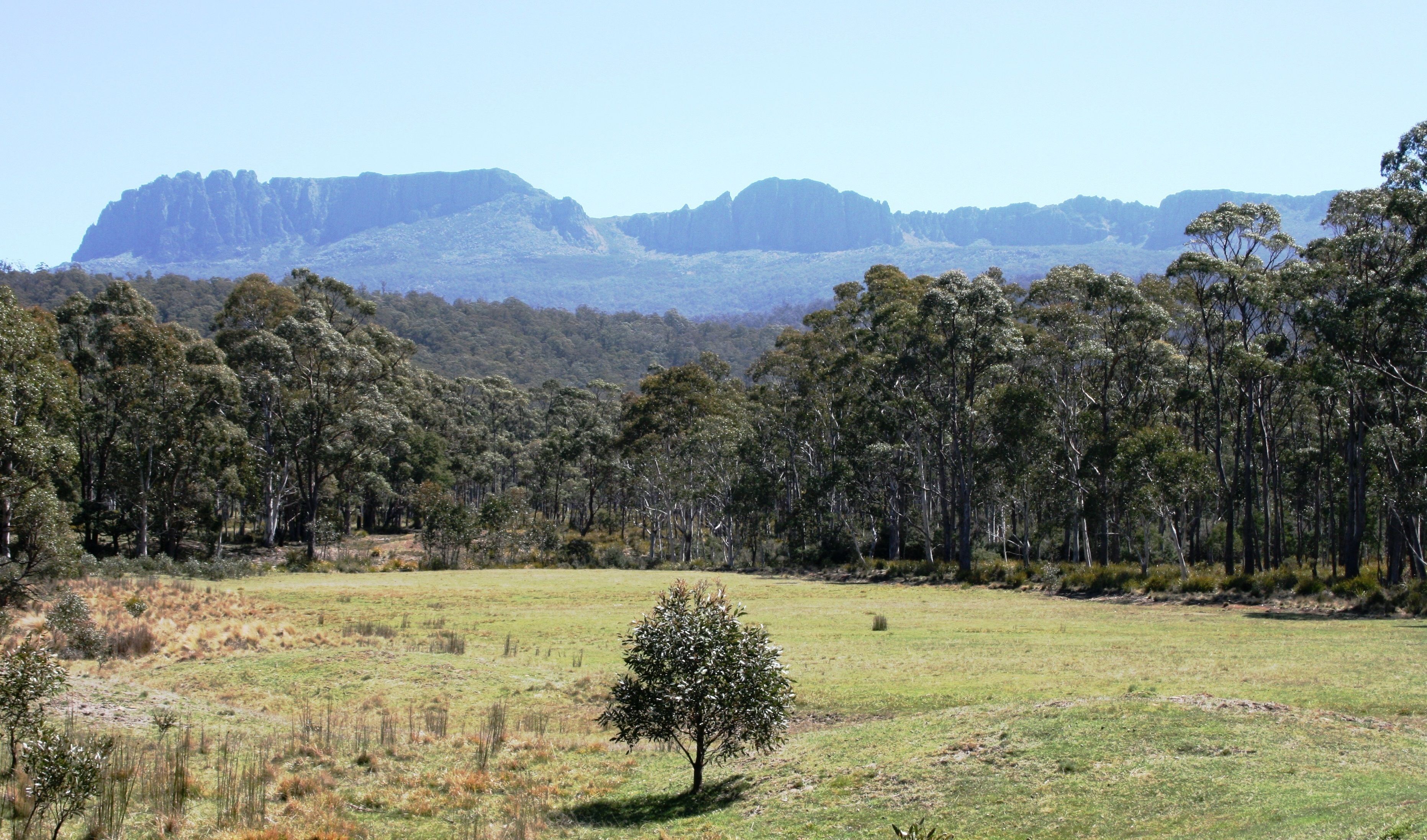 Craggy Peaks Wilderness Cabins — image 22