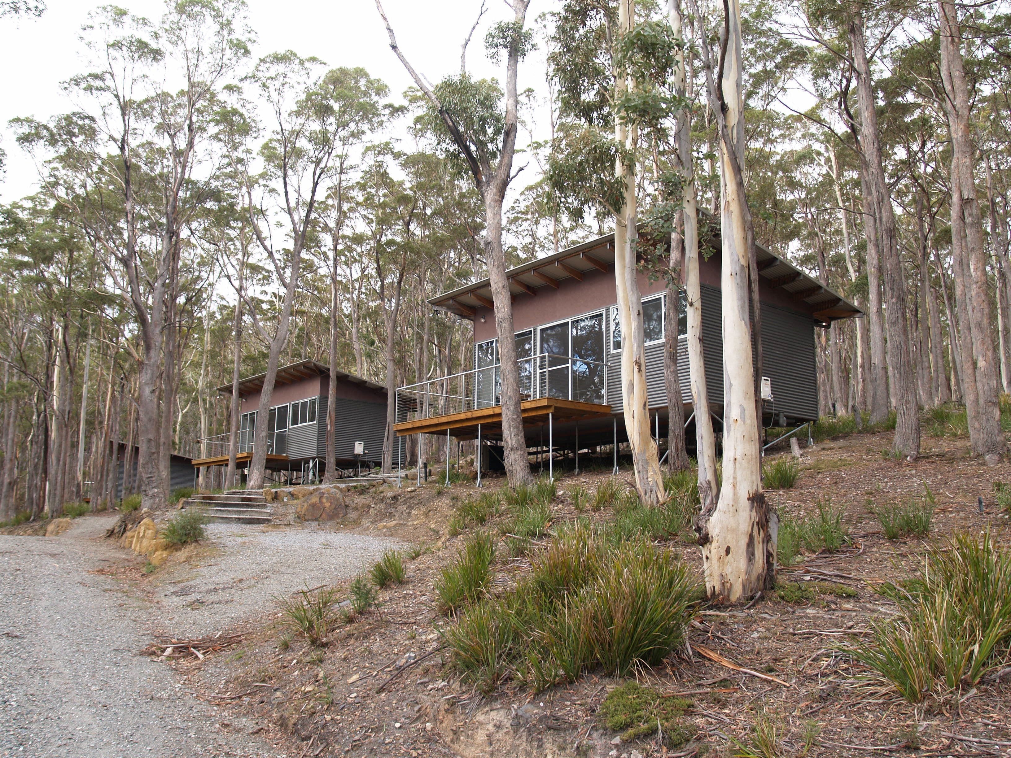 Craggy Peaks Wilderness Cabins — image 24