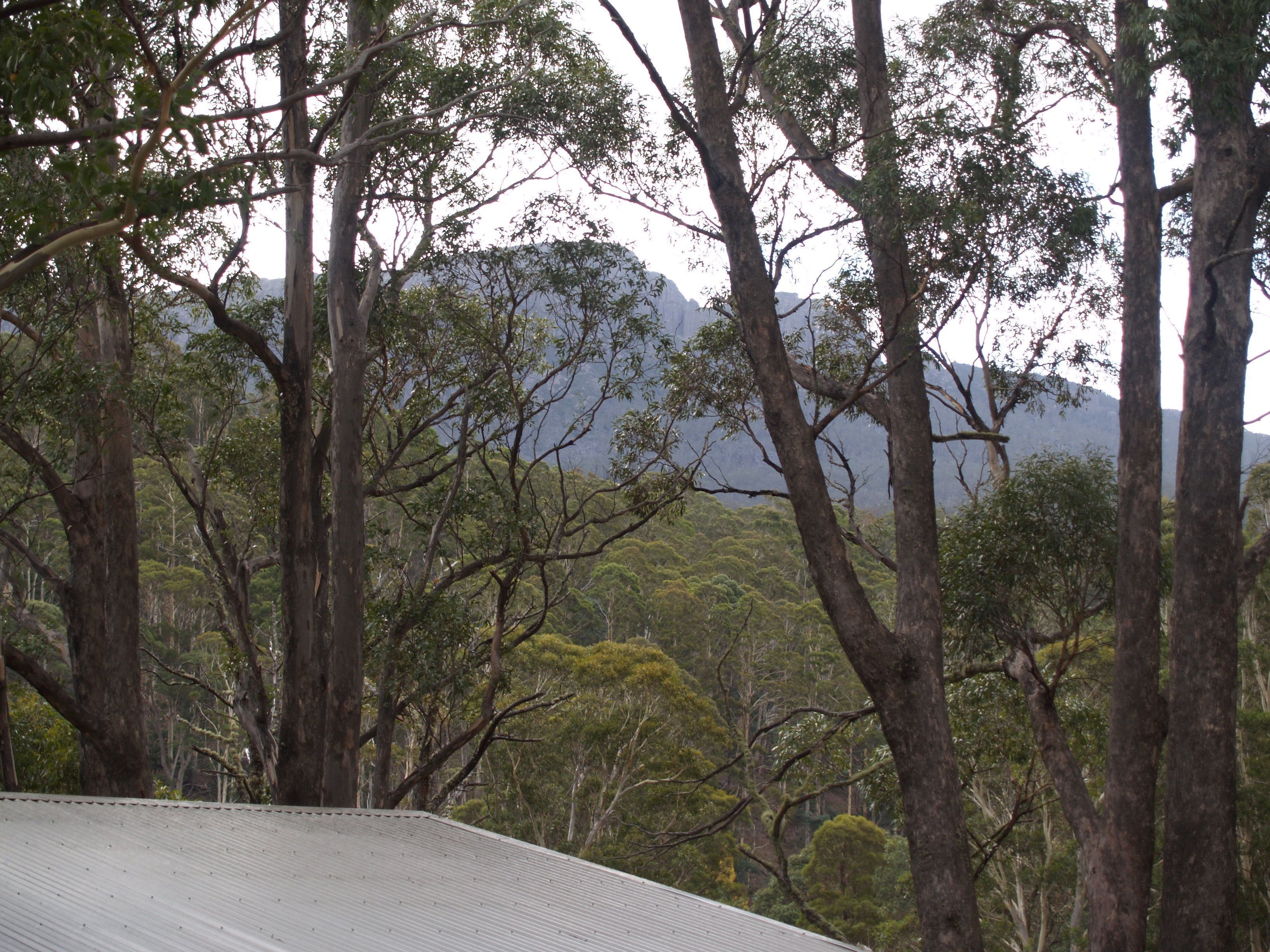 Craggy Peaks Wilderness Cabins — image 23