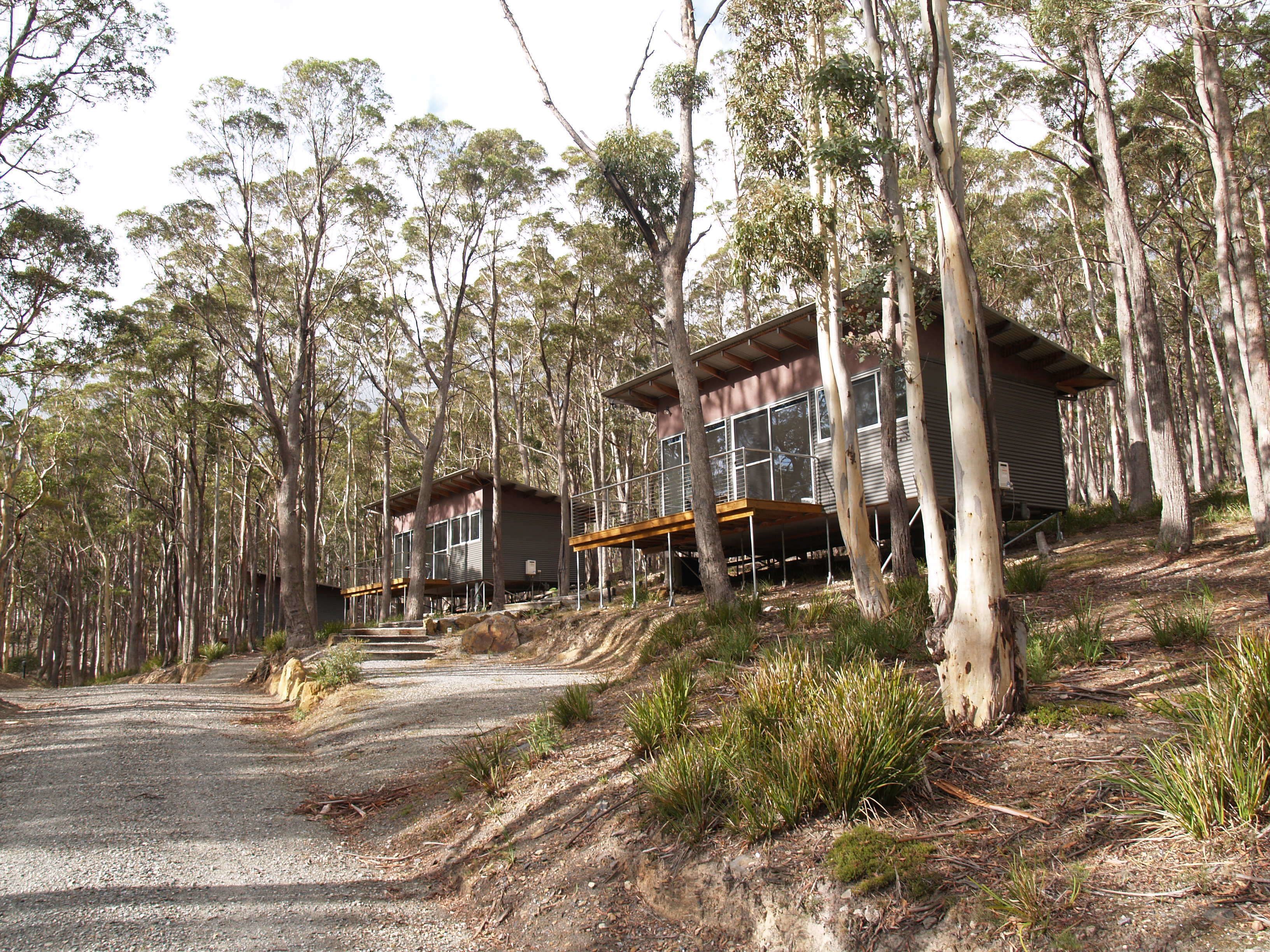 Craggy Peaks Wilderness Cabins — image 25