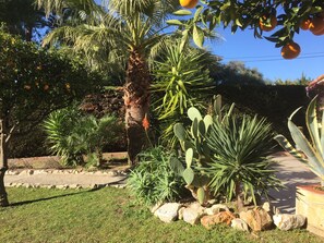 Terrein van de accommodatie