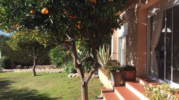 Details aan de buitenkant