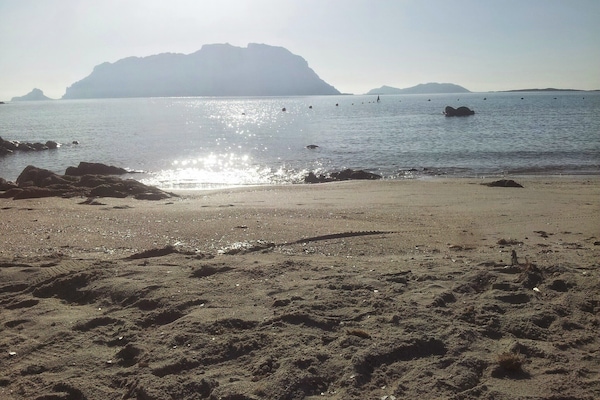 Accommodatie ligt op het strand, strandlakens