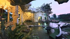 Una formazione rocciosa con una cascata, uno stagno e zone relax.