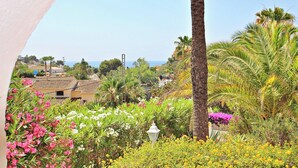 A garden with various plants and flowers, a palm tree, and a view of the sea and buildings in the background.