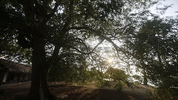 Vue depuis lâhĂ©bergement