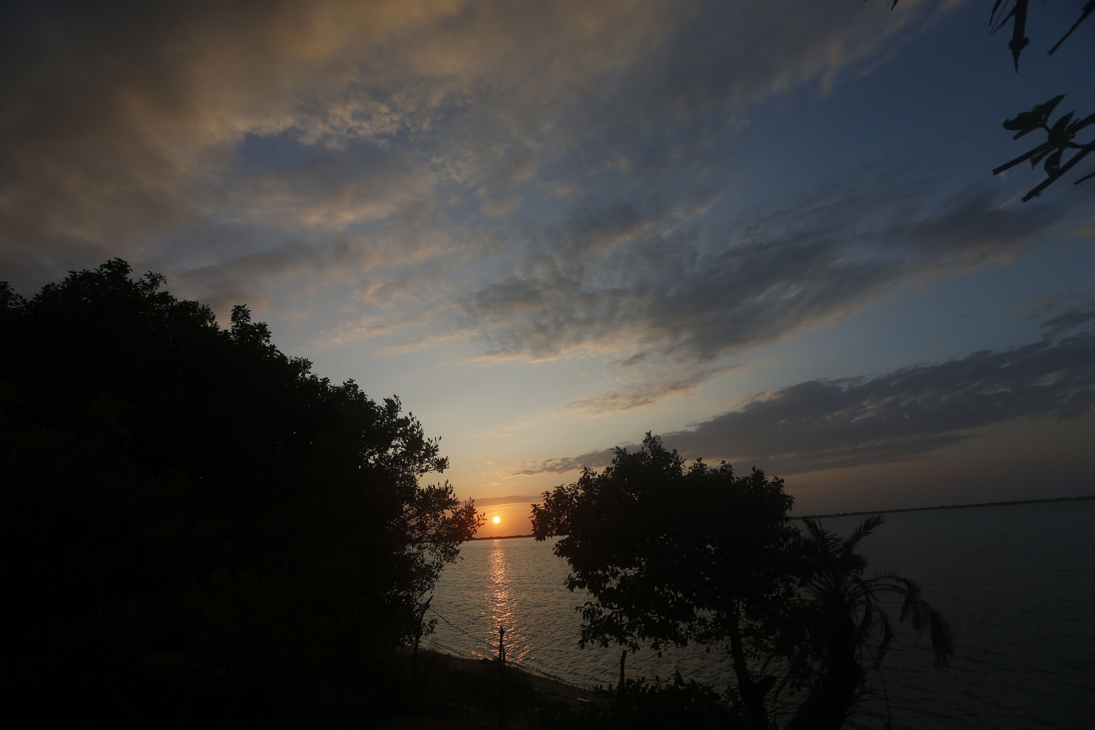 A sunset over a calm body of water with silhouettes of trees framing the view.