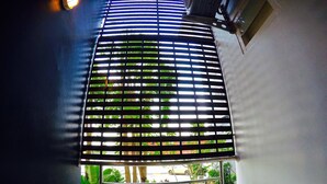 Vista a través de una reja metálica con una ventana, que da a un patio con plantas en macetas y un coche aparcado.