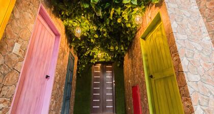 Alice Wonderland B&B