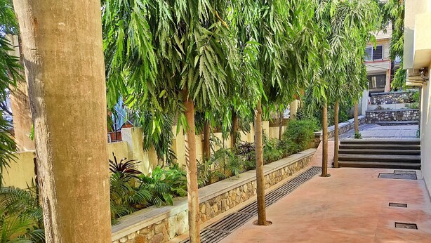 Un patio con muro de piedra, suelo de baldosas y diversas plantas.