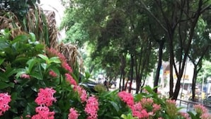 Unclassified image, 4 of 24, button - Youranju Hotel (Shenzhen)
