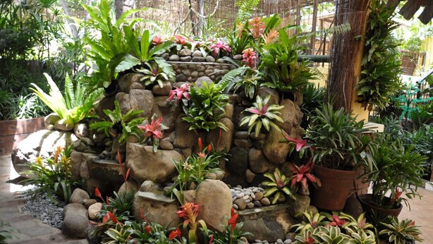 A rock garden with various plants and a small waterfall. - Casa Verde Hotel & Events Center (Imus)