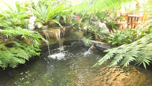 A small pond with water cascading over rocks, surrounded by lush green ferns and various plants. - Casa Verde Hotel & Events Center (Imus)