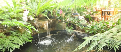 Jardín
