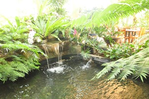Jardín