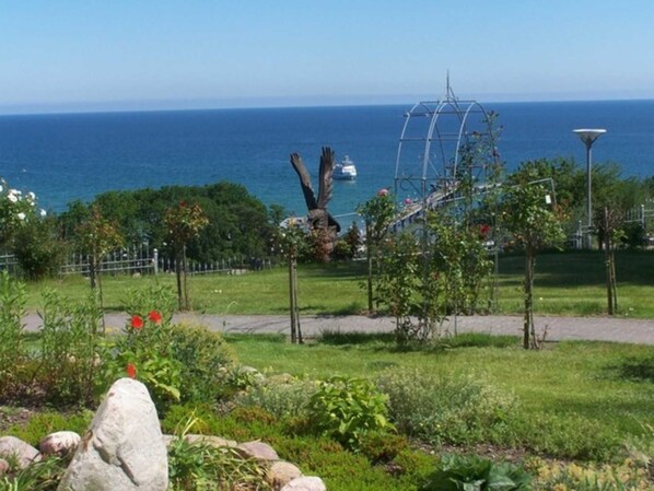 Unclassified image, 1 of 13, button