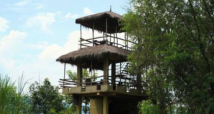 Nana Jungle Resort Near Chitwan National Park