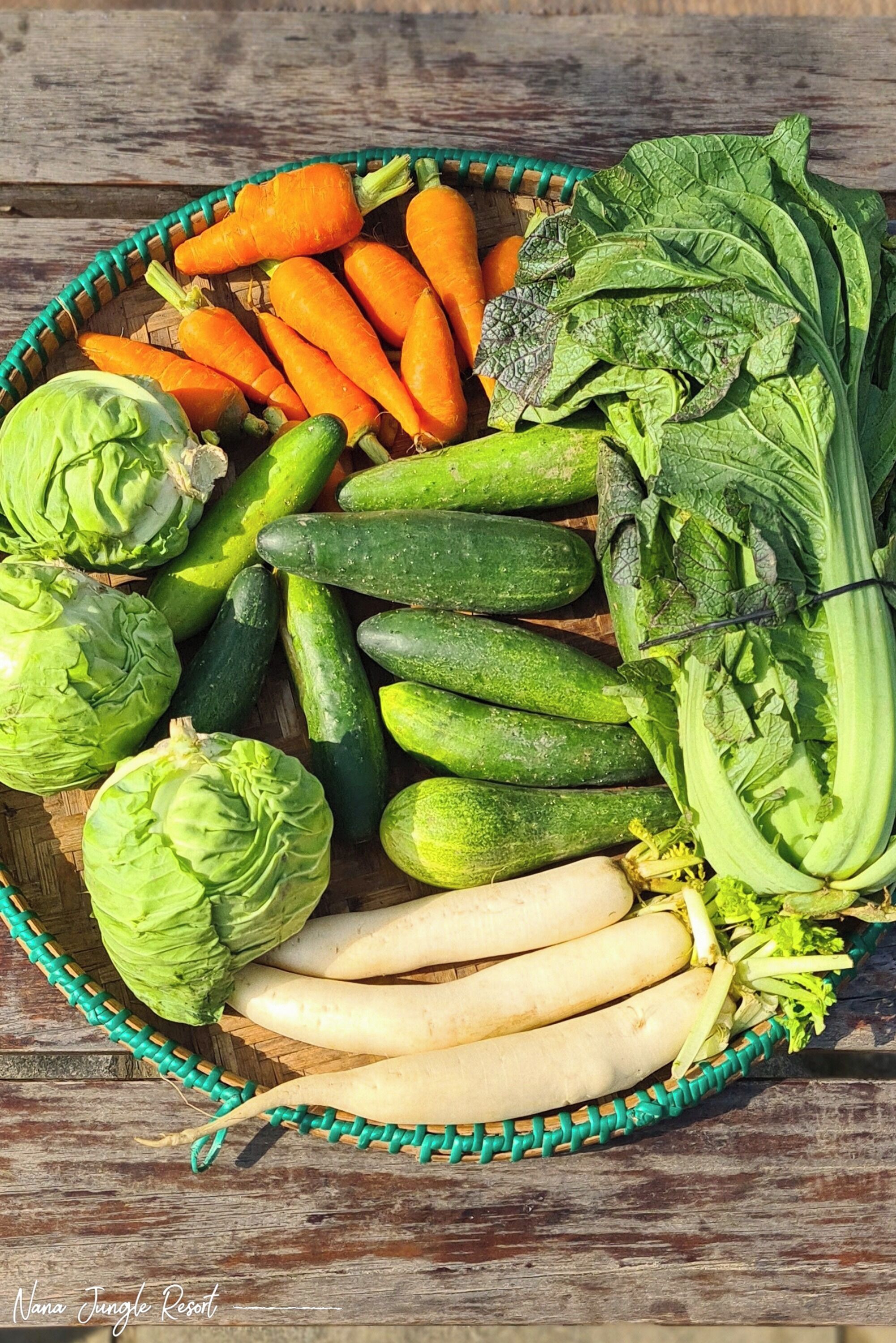 A basket filled with various vegetables including carrots, cucumbers, and leafy greens.