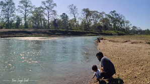 Pemandangan udara