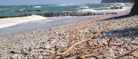 Une plage rocheuse parsemée de bois flotté et protégée par une digue en bois.
