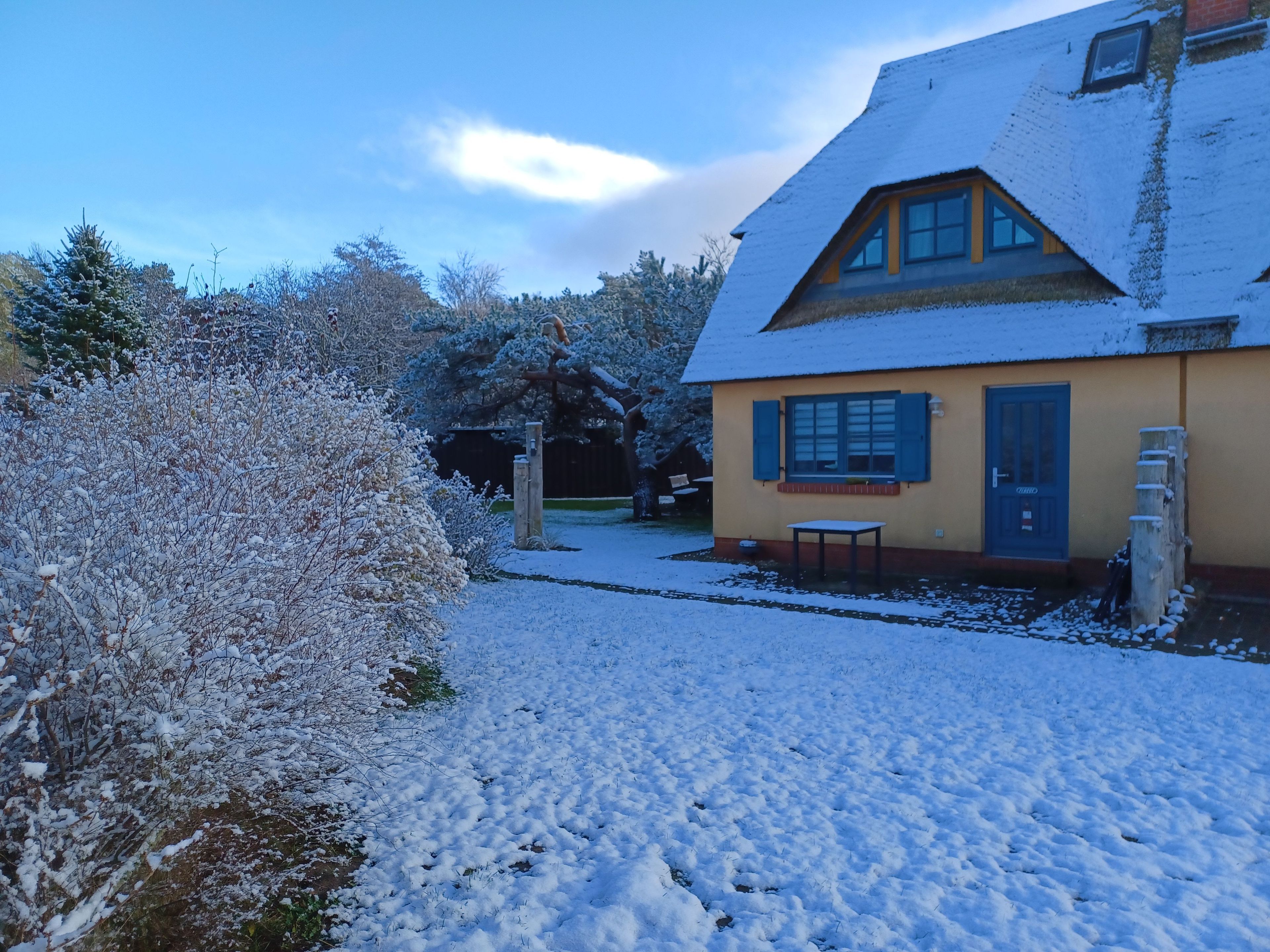 A snow-covered house with a visible front door, a small table, and a garden area.