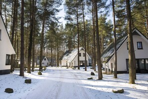 A snow-covered path leading to a row of white cabins surrounded by tall trees.
