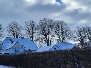Um bairro residencial com casas cobertas de neve e árvores sem folhas sob um céu nublado.