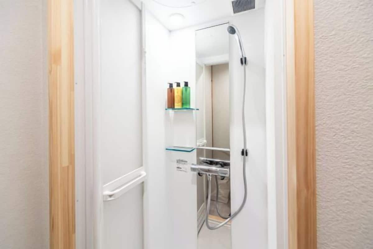 Shower, free toiletries, hair dryer, bidet